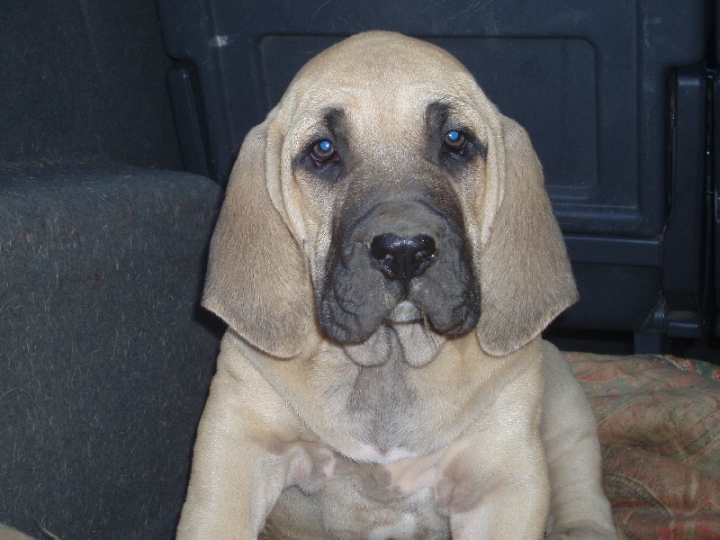 nouvelles photos des bb
